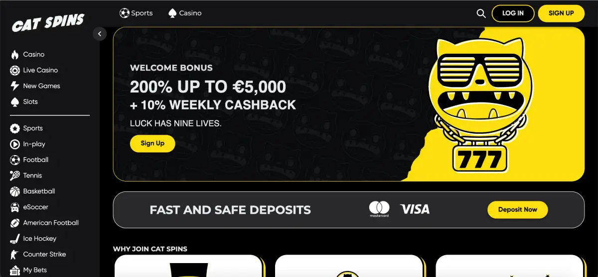 Overview of Cat Spins Casino homepage